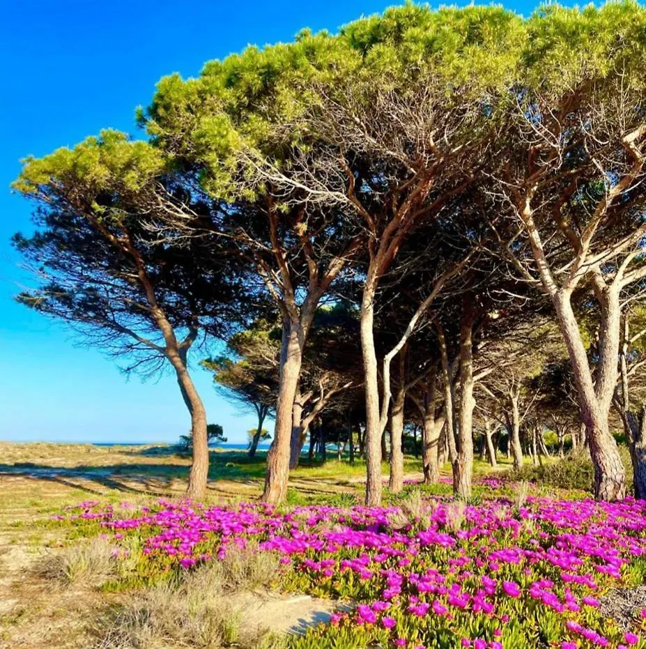 Sorres De Mare Villa Budoni